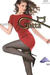 Gatta Fortissima 20