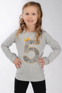 Besta Plus LP8677